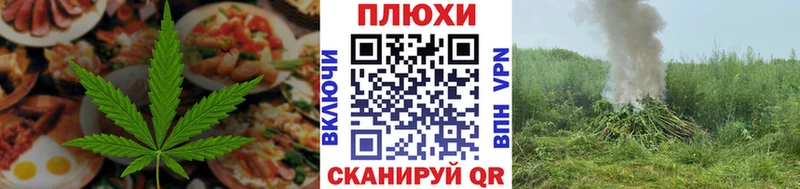 omg tor  Калач  Canna-Cookies конопля  где продают наркотики 