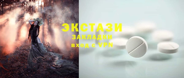 стаф Абинск