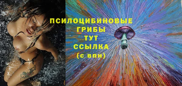 стаф Абинск