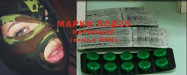 дмт Алзамай