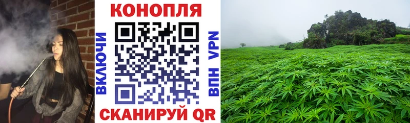 что такое Калач Бошки Шишки тримм